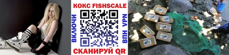 Cocaine FishScale  кракен зеркало  Берёзовский 