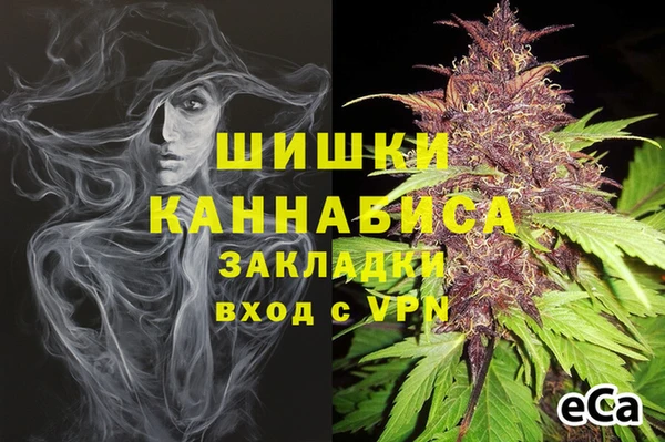 дживик Алзамай