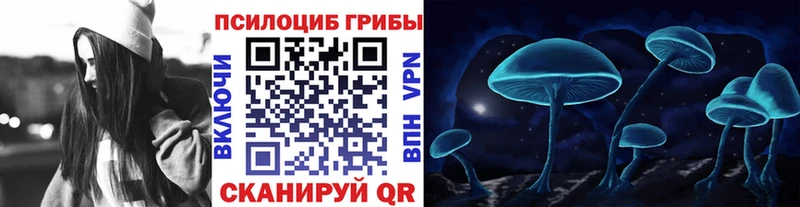 Псилоцибиновые грибы Psilocybine cubensis  Берёзовский 